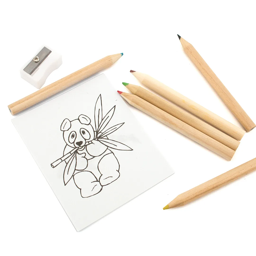 Set da colorare Figgy, scatola di cartone con finestra vista di fronte